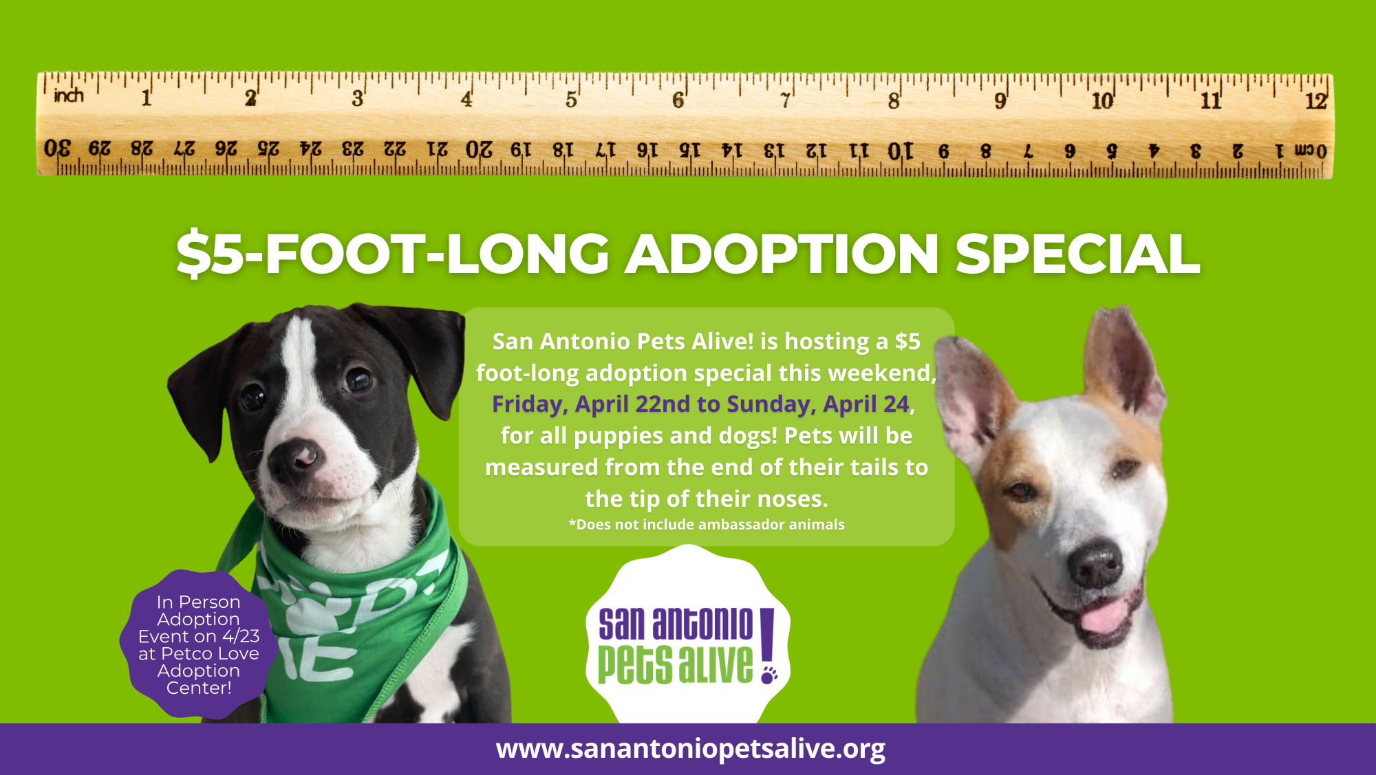 $5-Foot-Long Adoption Special